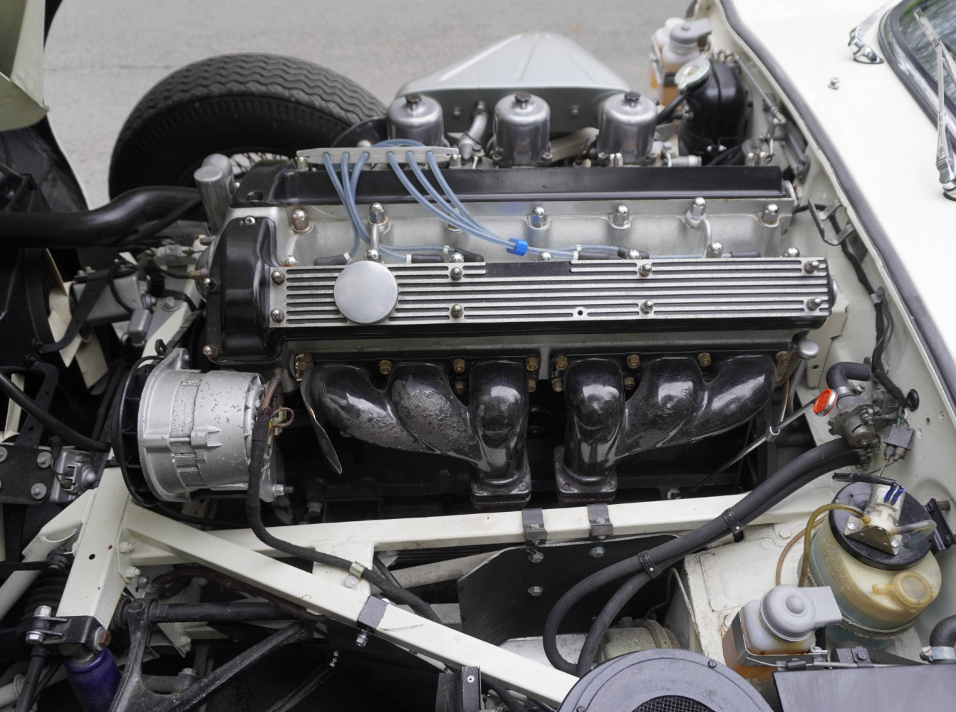 The 4.2-litre XK straight-six in a white E-Type engine bay, with a black-finished cam cover and alternator visible